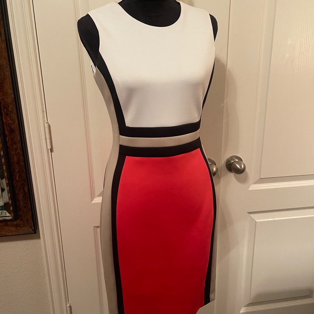 Calvin Klein Black and White Dress